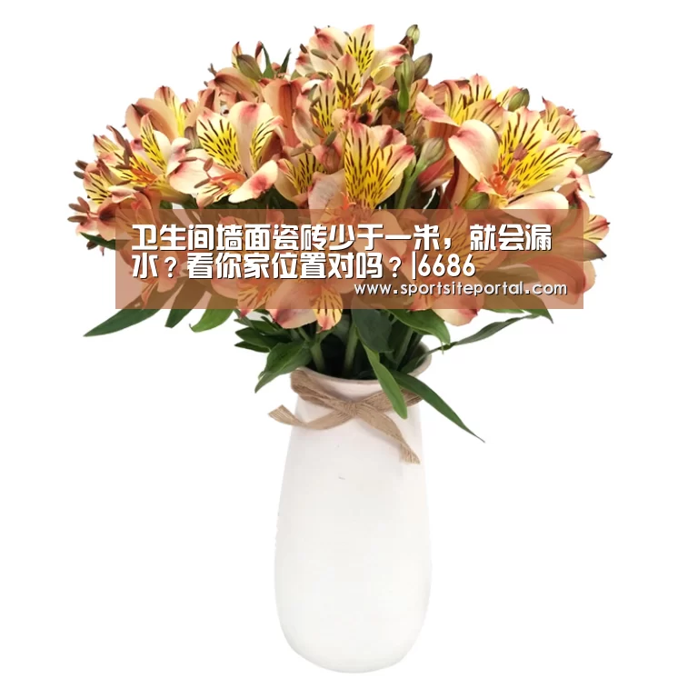 卫生间墙面瓷砖少于一米,就会漏水?看你家位置对吗?|6686(图2) 卫生间墙面瓷砖少于一米,就会漏水?看你家位置对吗?|6686(图2)