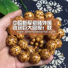 中超新军豪赌外援收获巨大回报!联赛开门红外援居功至伟‘6686官网’(图2) 6686直播