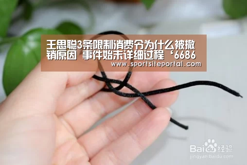王思聪3条限制消费令为什么被撤销原因 事件始末详细过程‘6686直播’(图1) 6686体育