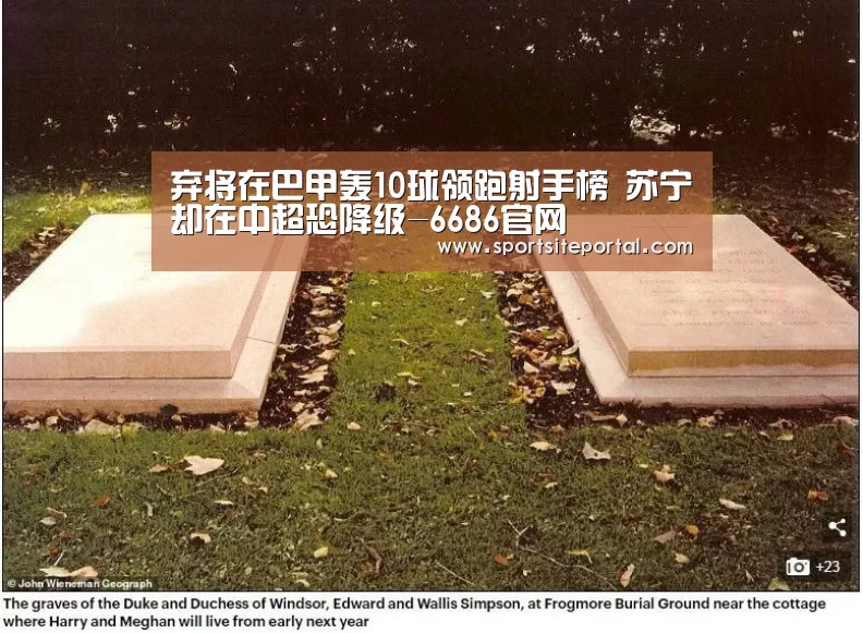 弃将在巴甲轰10球领跑射手榜 苏宁却在中超恐降级-6686官网(图1) 6686体育