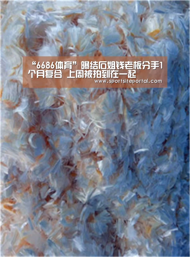 “6686体育”曝结石姐钱老板分手1个月复合 上周被拍到在一起(图3) “6686体育”曝结石姐钱老板分手1个月复合 上周被拍到在一起(图3)