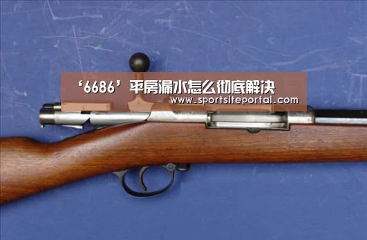 ‘6686’平房漏水怎么彻底解决(图2) 6686体育