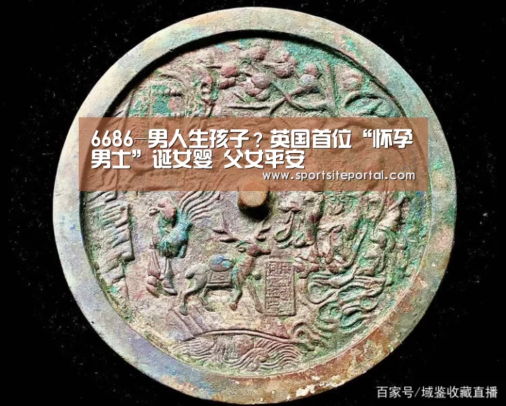 6686官网