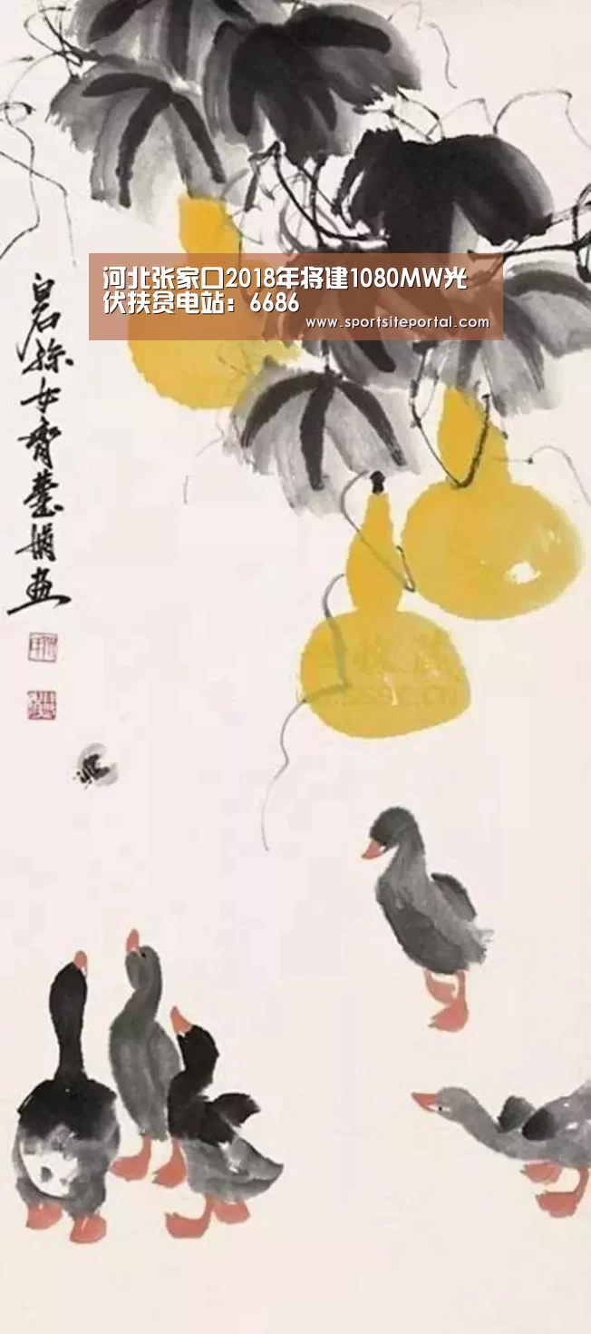 6686官网