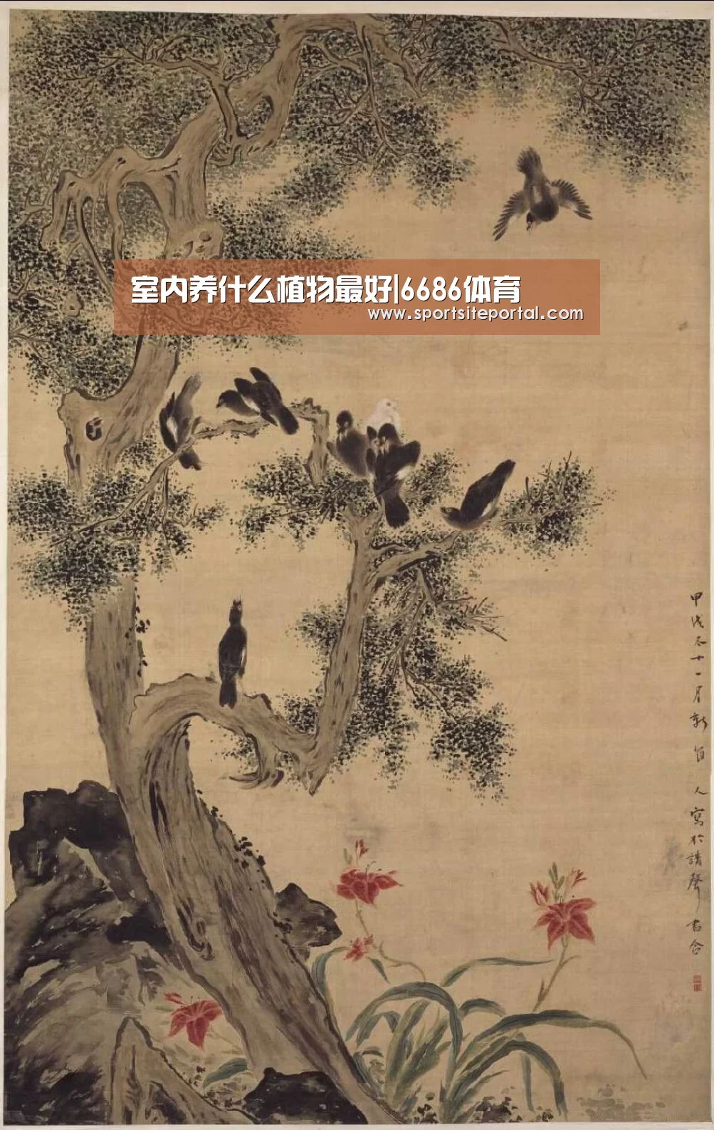 室内养什么植物最好|6686体育(图1) 6686直播
