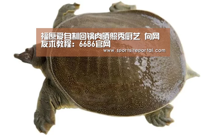 福原爱自制回锅肉晒照秀厨艺 向网友求教程:6686官网(图1) 6686体育