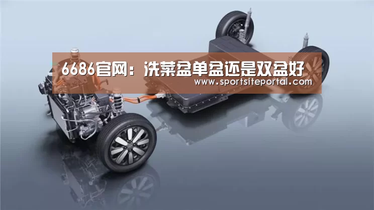 6686官网：洗菜盆单盆还是双盆好(图1)