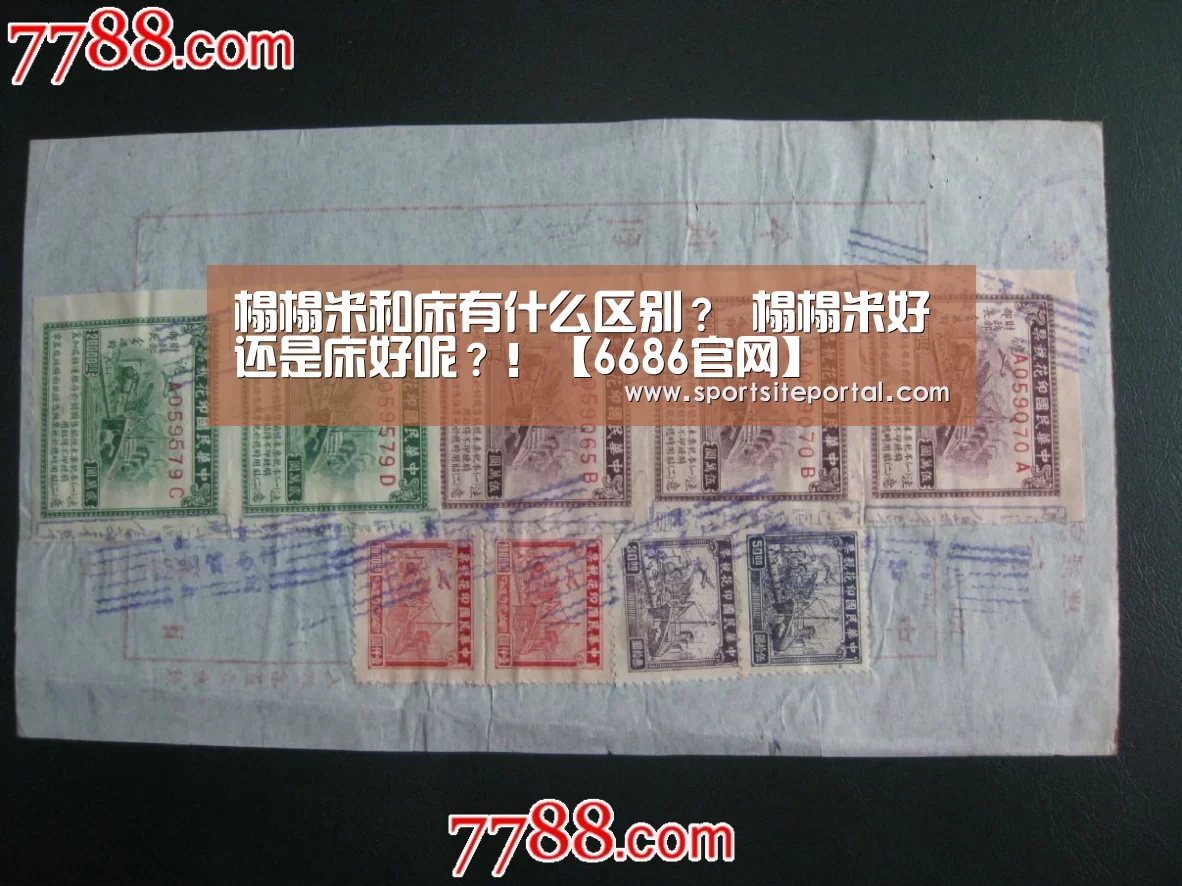 榻榻米和床有什么区别? 榻榻米好还是床好呢?!【6686官网】(图2) 6686体育