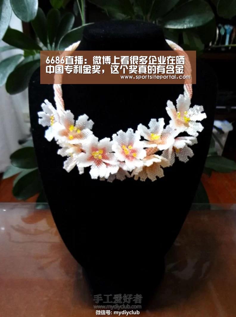 6686体育